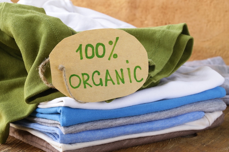 Accepting the Green Fashion Movement: The Rise of Eco-Friendly Clothes ...