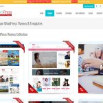 AccessPress Themes review