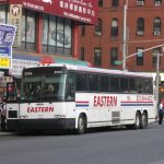 Gotobus reviews