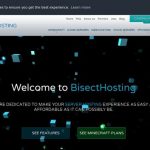 BisectHosting review