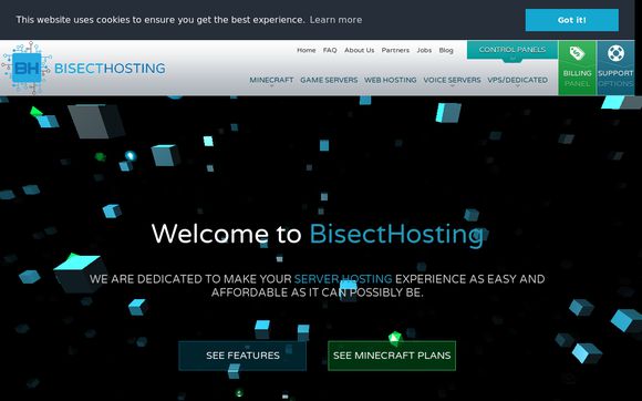 BisectHosting review