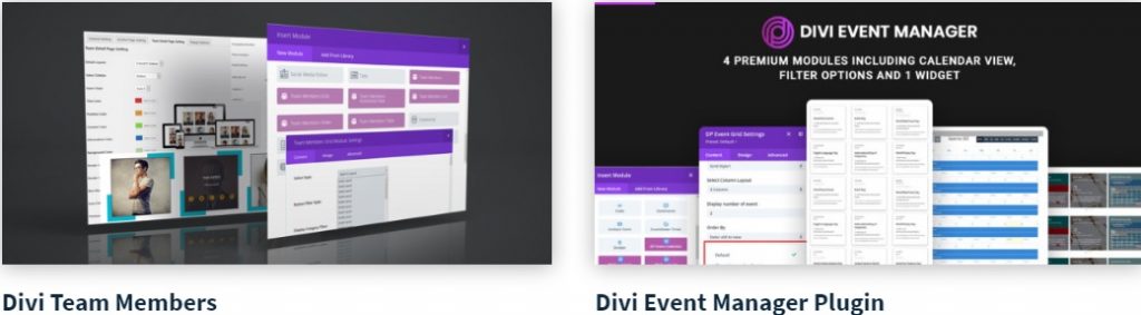 Divi Professional review