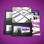 Divi Professional review