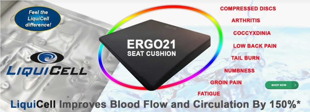 Ergo21 review-Ergo21 Seat Cushion