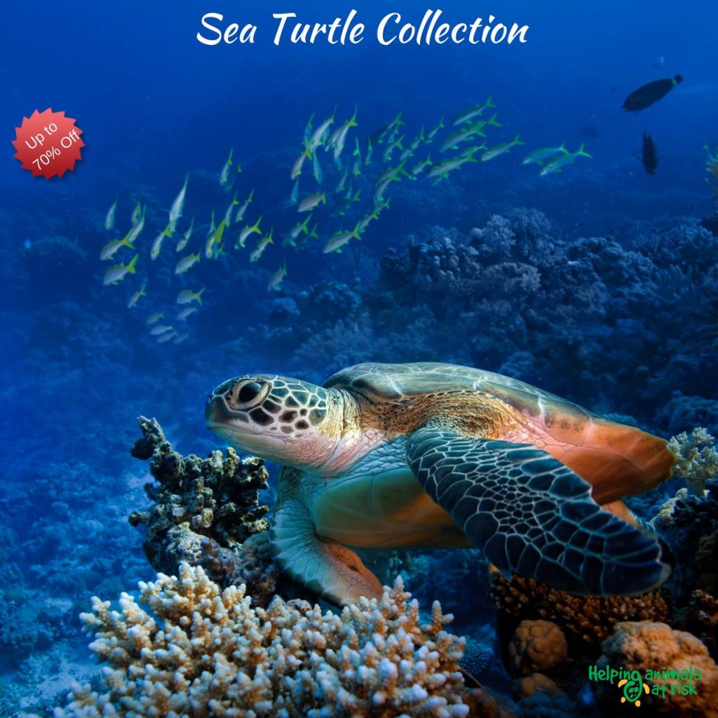 2021 Helping Animals At Risk Mystery Box Review