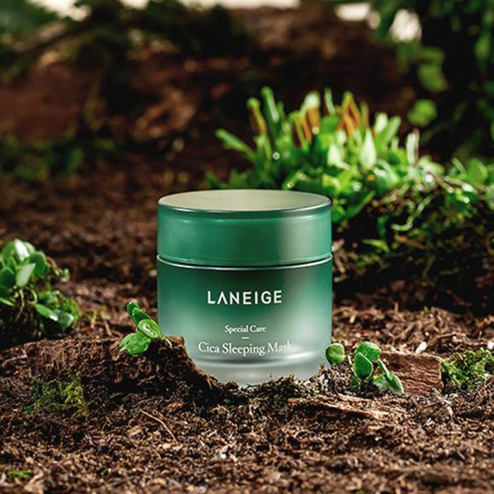 Akoco-review-Laneige-Cica-Sleeping-2