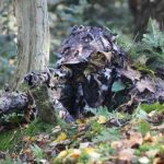 North Mountain Gear review