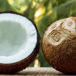 Coconutsy review