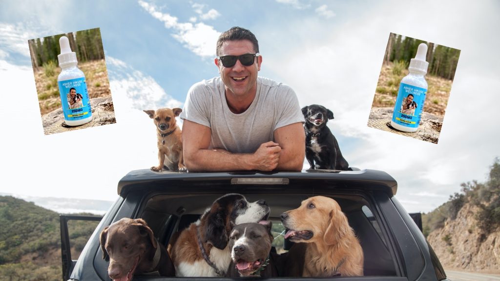 Should I Buy CBD Oil For Pets - Asher House Wellness