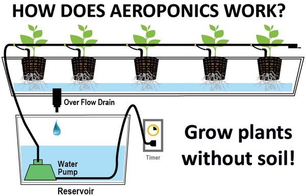 Types of Hydroponic Systems