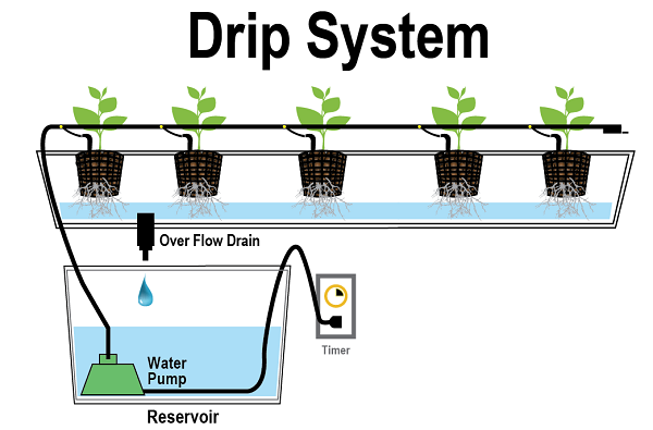 Types of Hydroponic Systems