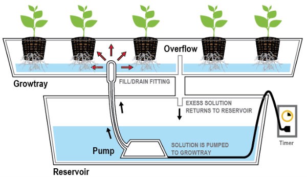 Types of Hydroponic Systems