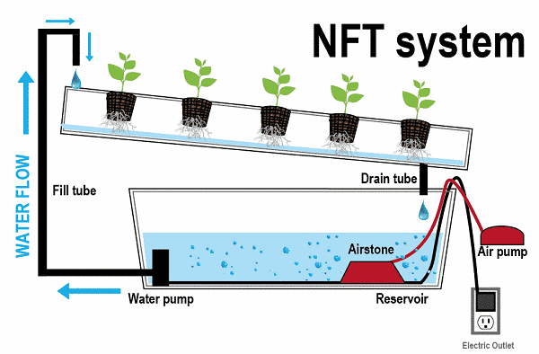 Types of Hydroponic Systems