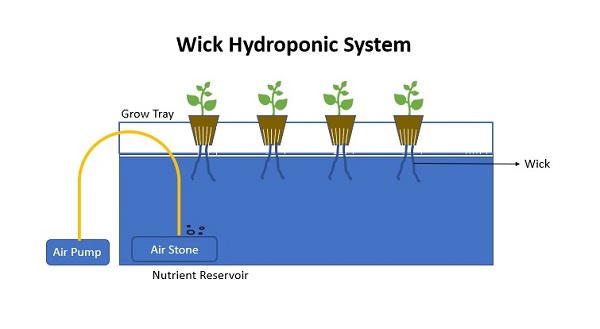 Types of Hydroponic Systems