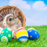 3 Symbols of Easter - Interesting and Meaningful