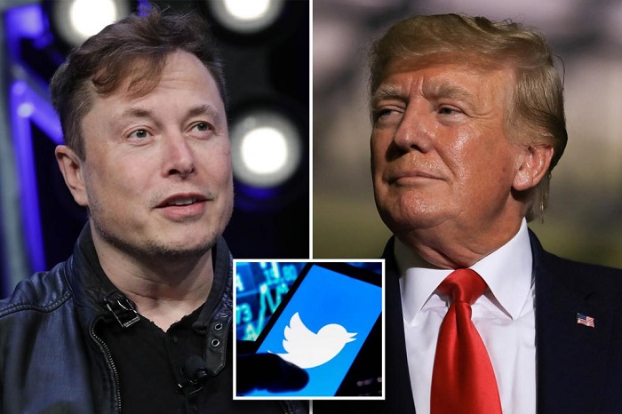 Elon Musk bought Twitter