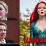 Amber Heard Is Removed From Aquaman 2 [Confirmed]