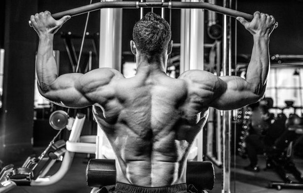 Principles Of Diet For Gym